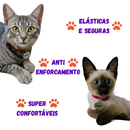 Coleira para Gato Anti Enforcamento com Identificação Nome e Telefone