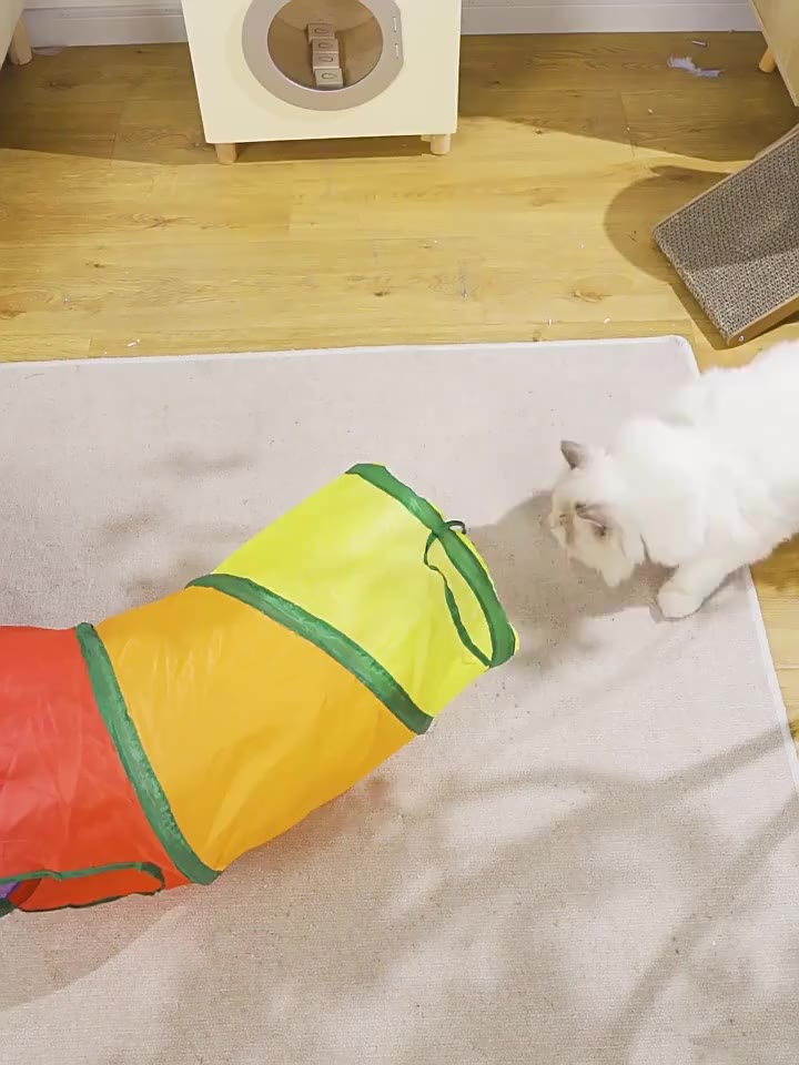 Brinquedo Para Pets Túnel Labirinto Para Gatos Colorido