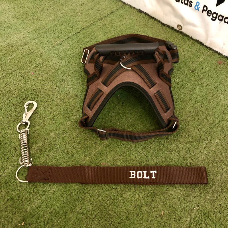 Peitoral Califórnia