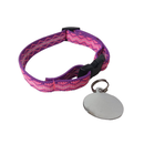 Coleira Anti Enforcamento com Identificação