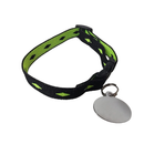 Coleira Anti Enforcamento com Identificação