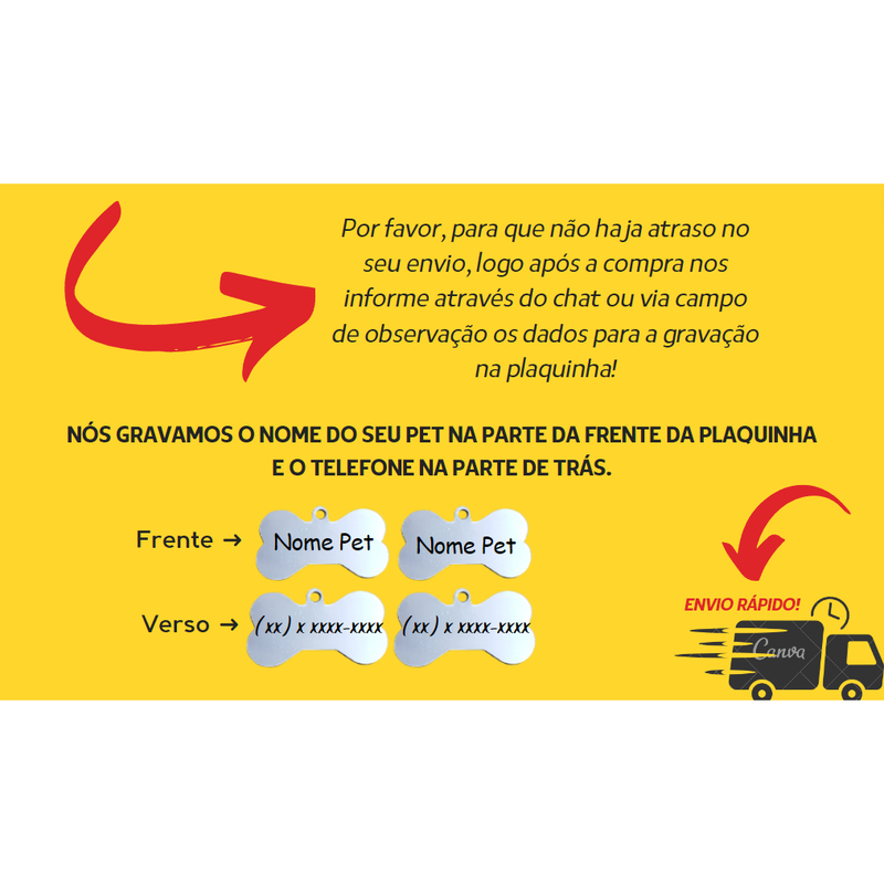 Coleira e guia para cachorro com plaquinha de identificação