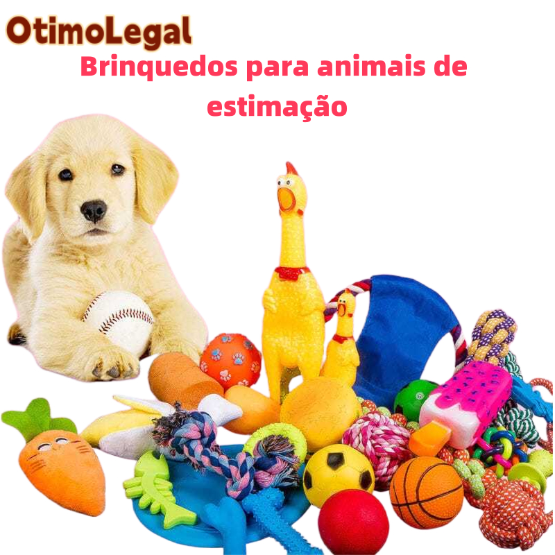 Kit 10 Brinquedos Mordedor Cachorro Filhote Anti Estress Pet Ranger os dentes Limpeza da boca