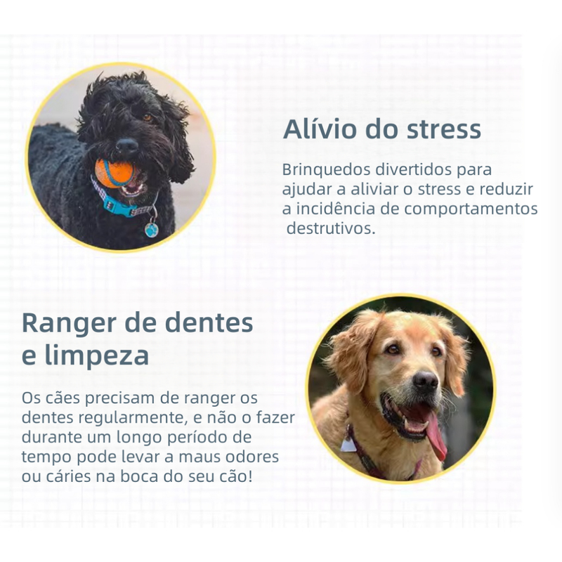 Kit 10 Brinquedos Mordedor Cachorro Filhote Anti Estress Pet Ranger os dentes Limpeza da boca
