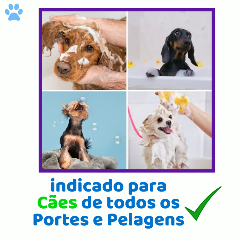 Kit Shampoo Anti Pulgas e Carrapatos + Condicionador Desembaraçador para Cachorro e Gato Genial Pet