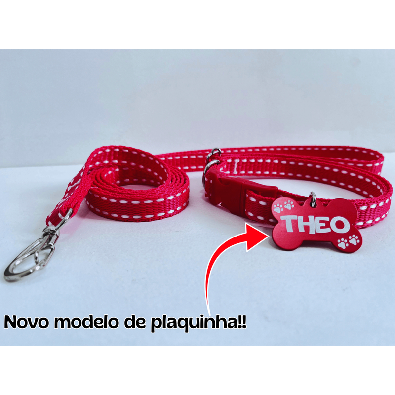 Coleira e guia para cachorro com plaquinha de identificação