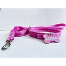 Coleira e guia para cachorro com plaquinha de identificação