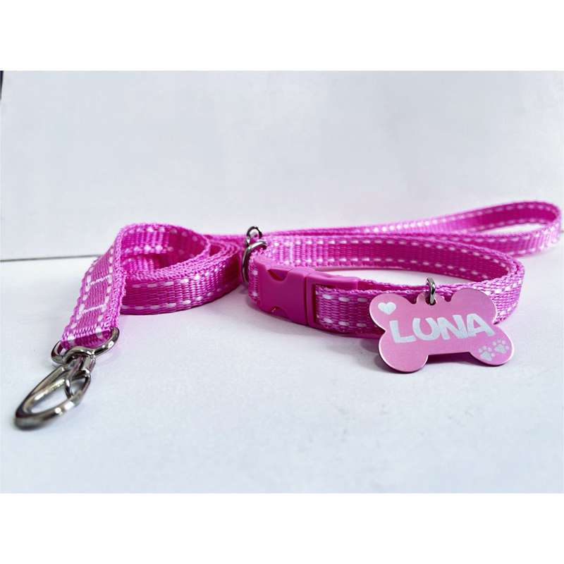 Coleira e guia para cachorro com plaquinha de identificação