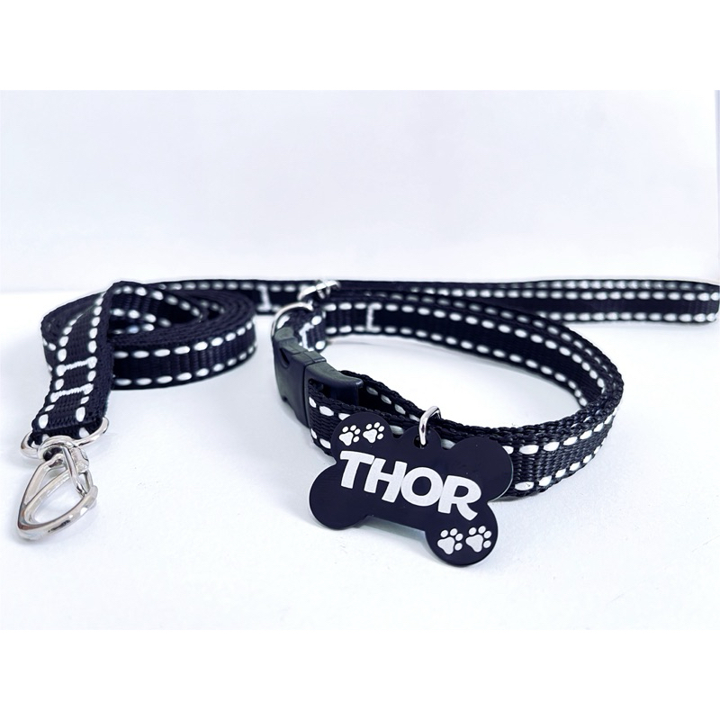 Coleira e guia para cachorro com plaquinha de identificação