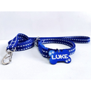 Coleira e guia para cachorro com plaquinha de identificação