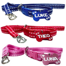 Coleira e guia para cachorro com plaquinha de identificação