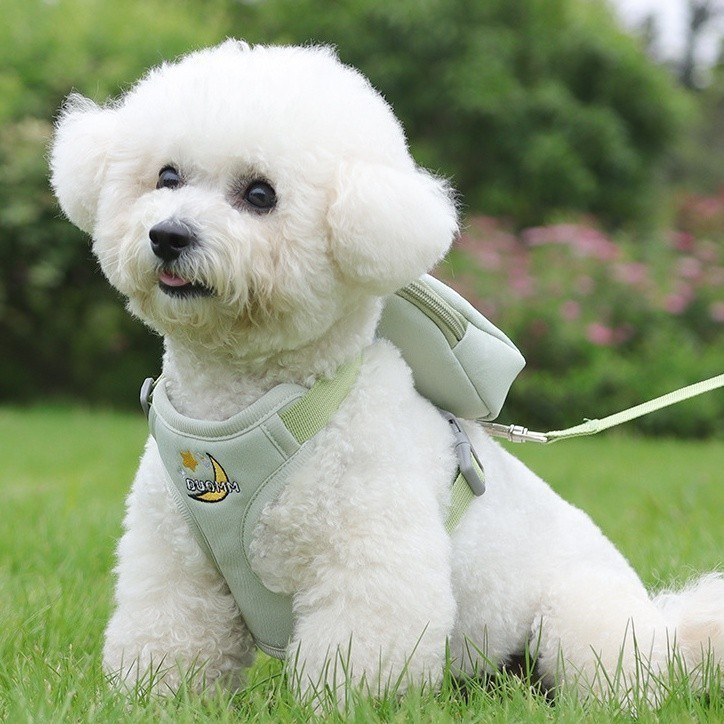 Peitoral Coleira Com Guia e Bolsa Removível Para Cachorro Pet Cães Gatos Pequeno Médio De Viagem