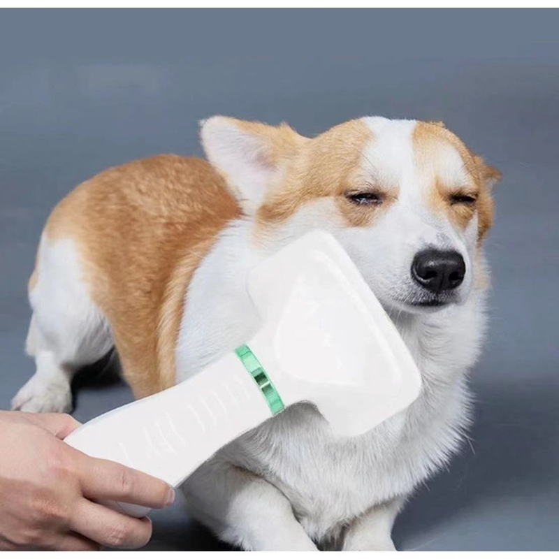 Escova Pet Secadora Elétrica para Secar e Remover Pelos de Gato e Cachorro Envio Rápido